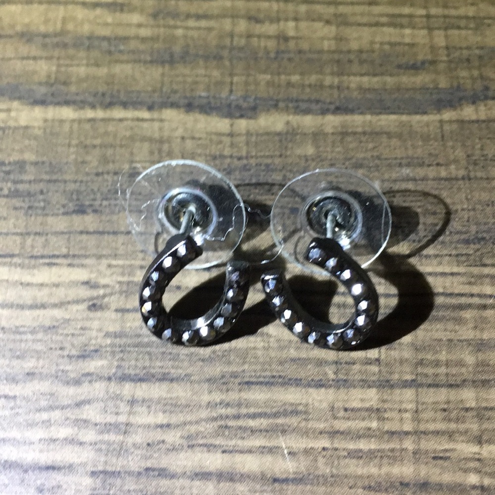 Horse shoe earrings